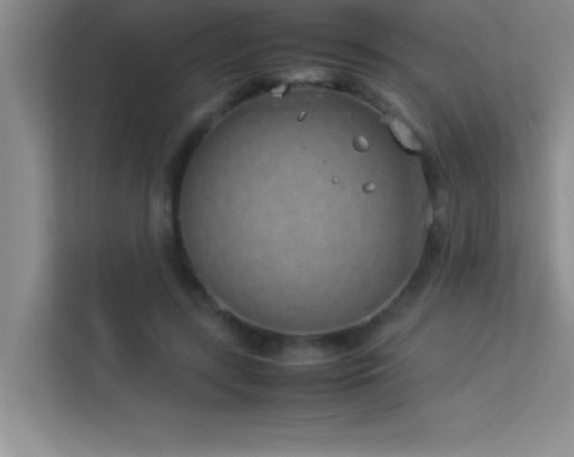 X0000113910547200909241511