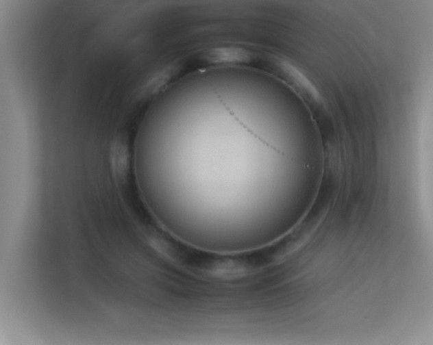 X0000113910549200909241511