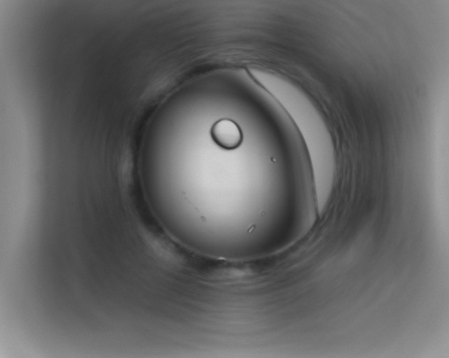 X0000113910552200909241511