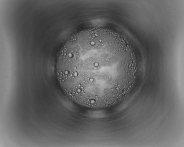 X0000113910553200909241512