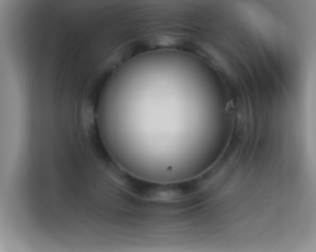 X0000113910555200909241512