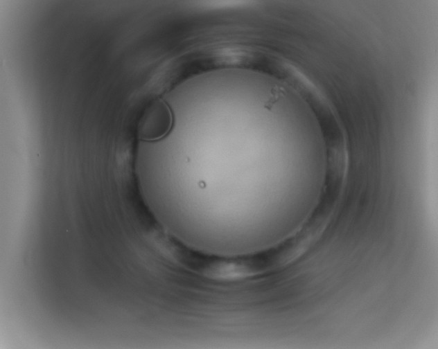 X0000113910557200909241512