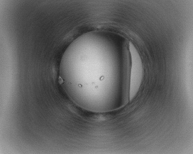 X0000113910558200909241512