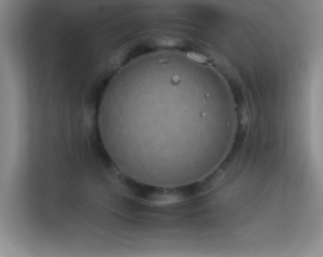 X0000113910559200909241512