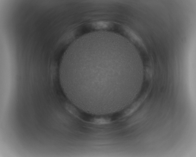 X0000113910561200909241512