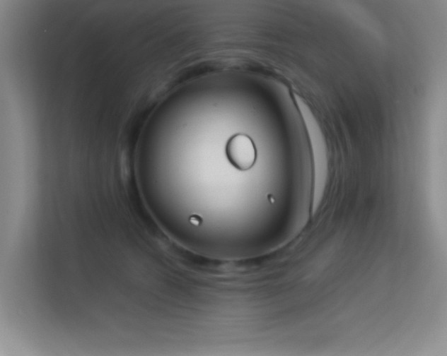 X0000113910562200909241512