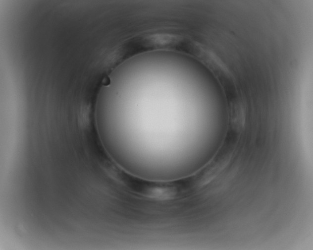 X0000113910563200909241512