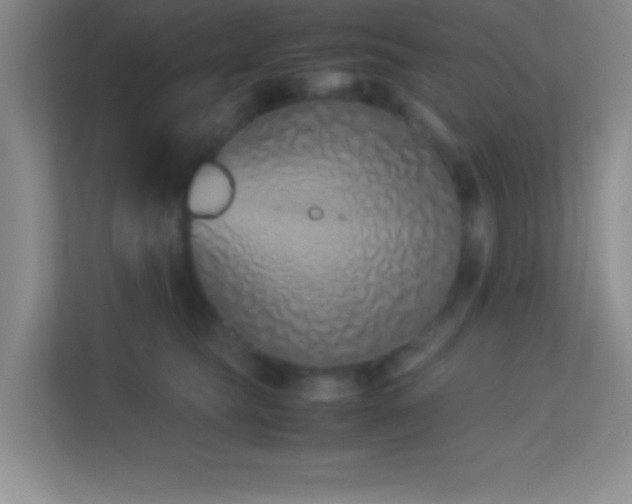 X0000113910565200909241512