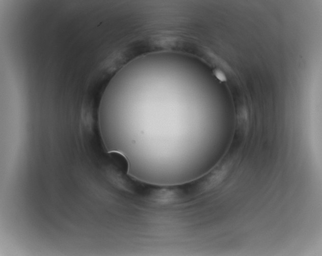 X0000113910566200909241512