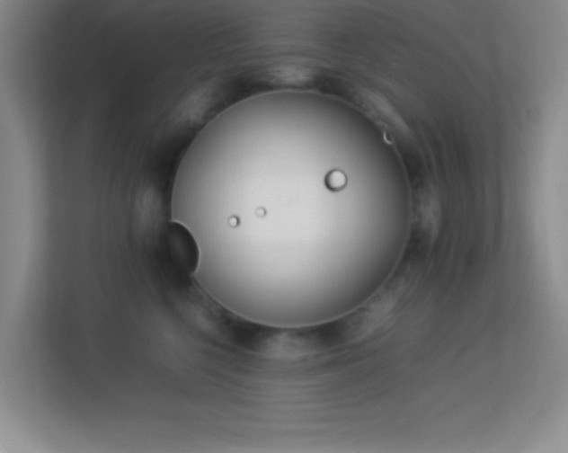 X0000113910568200909241512