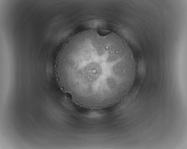 X0000113910569200909241512