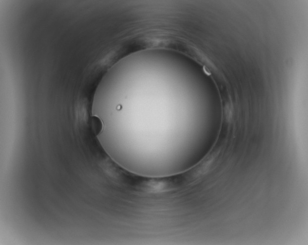X0000113910570200909241512