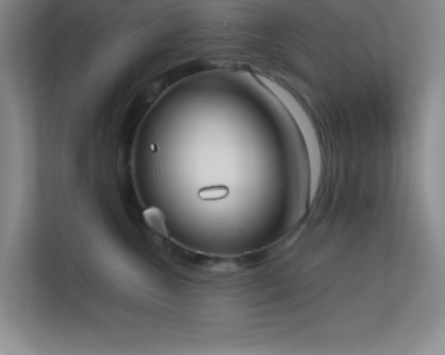 X0000113910572200909241512