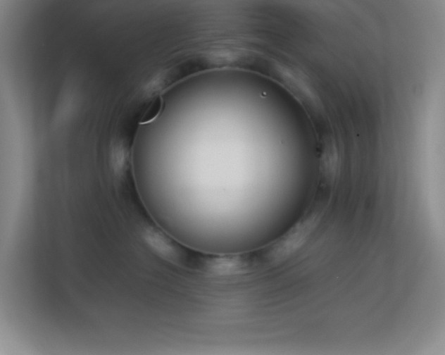 X0000113910574200909241512