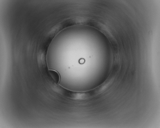 X0000113910575200909241512