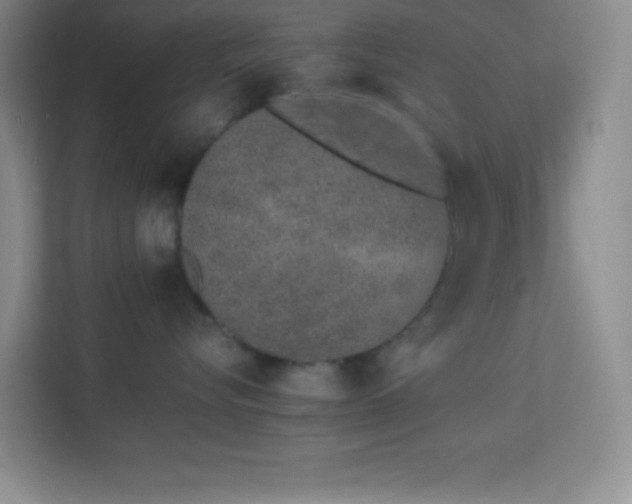 X0000113910576200909241512