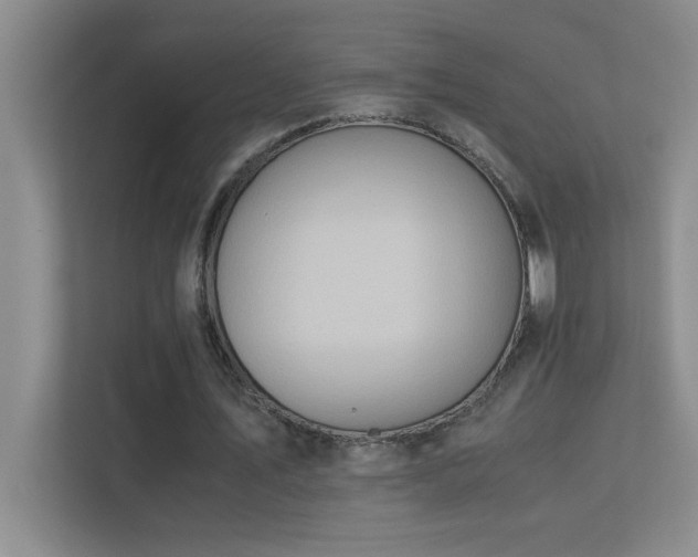 X0000113910579200909241511