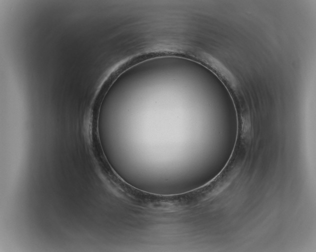 X0000113910580200909241511