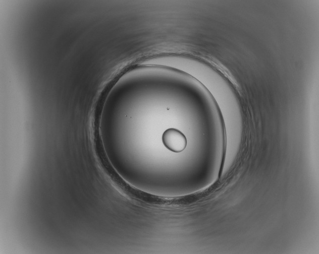 X0000113910581200909241511