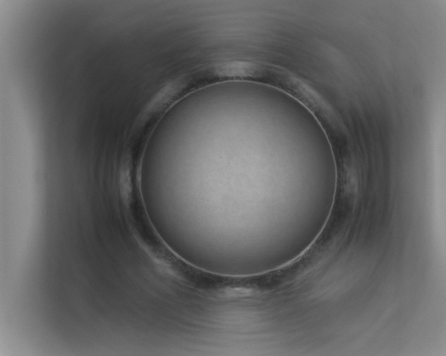 X0000113910586200909241511