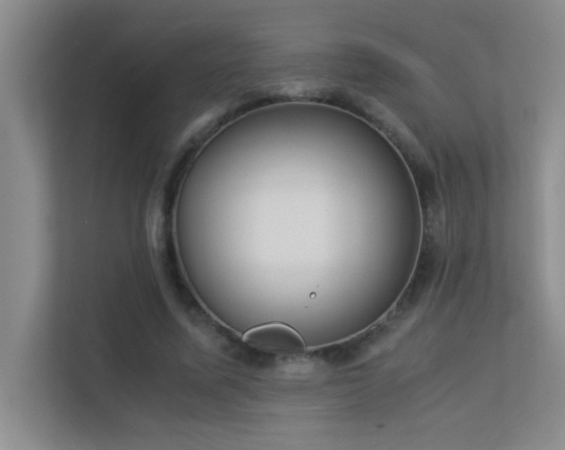 X0000113910587200909241511