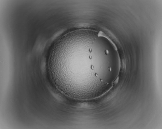X0000113910588200909241511