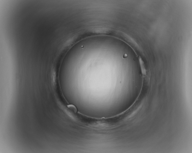 X0000113910589200909241511