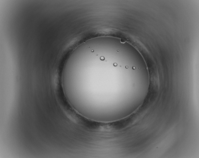 X0000113910591200909241511