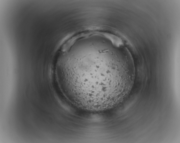 X0000113910592200909241511