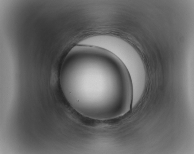 X0000113910593200909241511