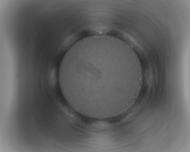 X0000113910594200909241511