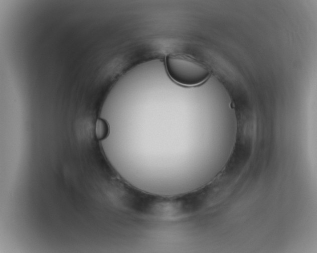 X0000113910595200909241511