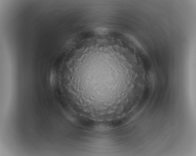 X0000113910598200909241511