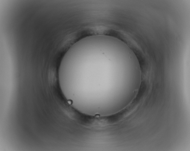X0000113910599200909241511