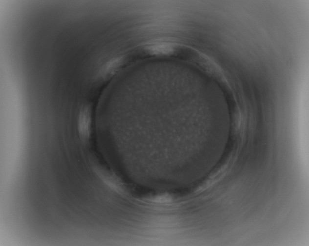 X0000113910600200909241511