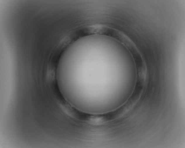 X0000113910602200909241511