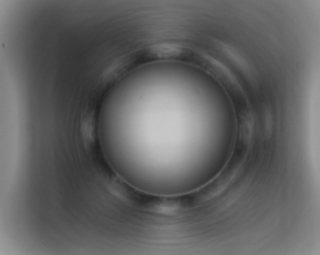 X0000113910604200909241511