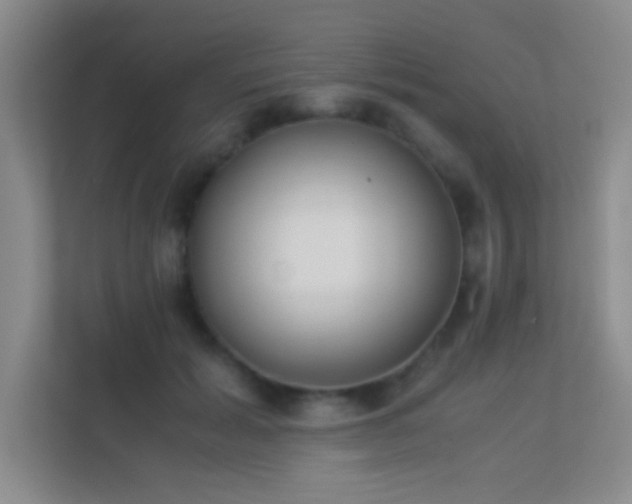 X0000113910605200909241511