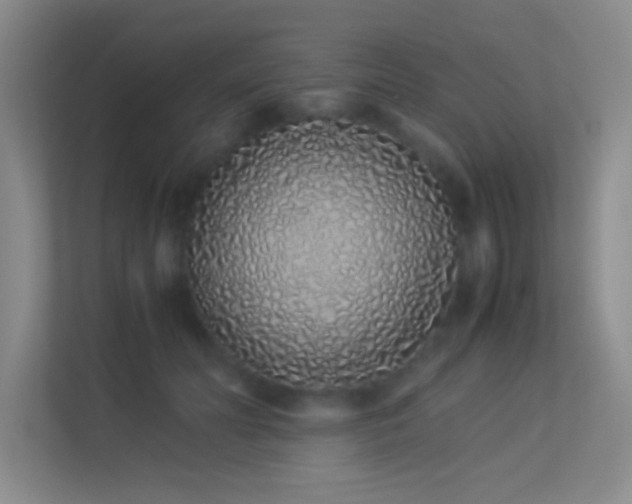 X0000113910606200909241511