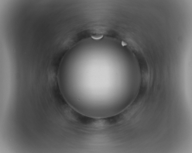 X0000113910609200909241511