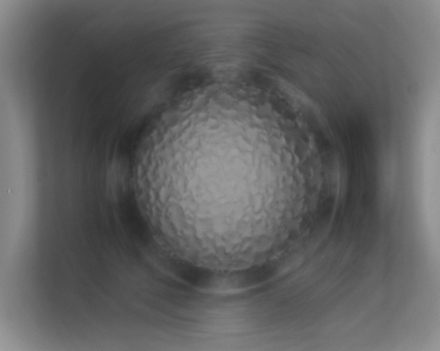 X0000113910610200909241511