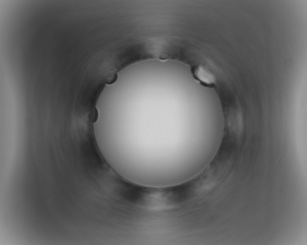 X0000113910611200909241511
