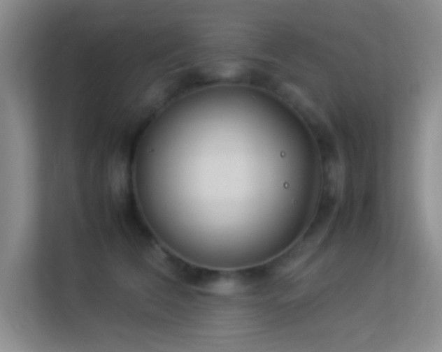 X0000113910612200909241511