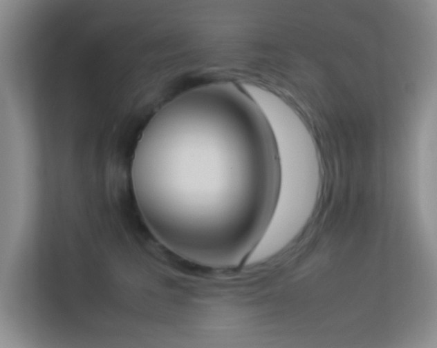 X0000113910613200909241511