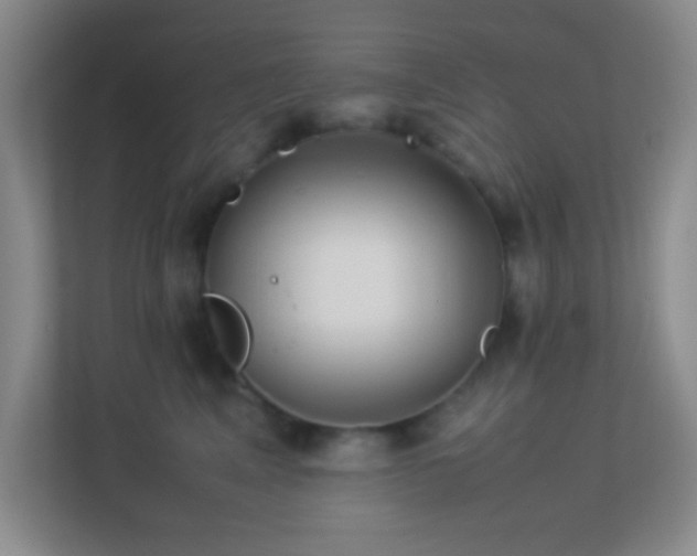 X0000113910617200909241511