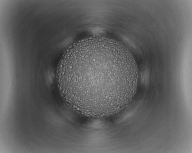 X0000113910618200909241511