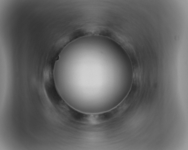 X0000113910623200909241511