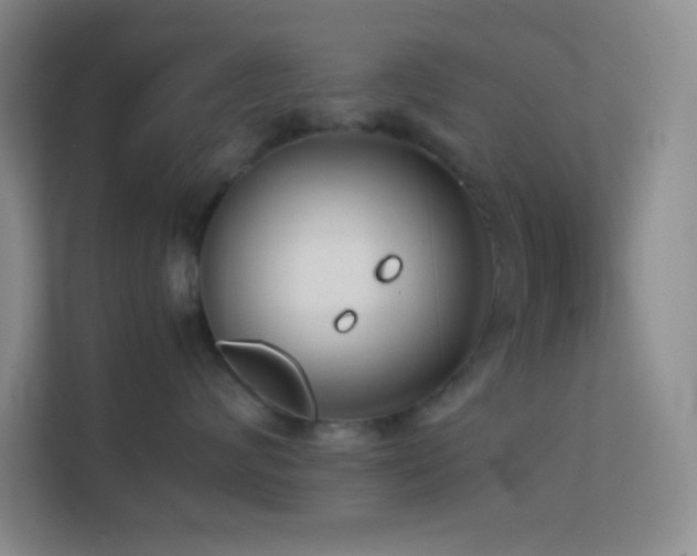 X0000113910624200909241511