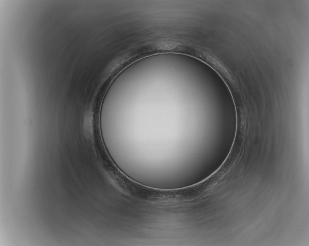 X0000113910626200909241510