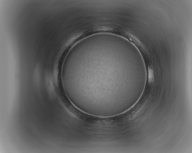 X0000113910627200909241510